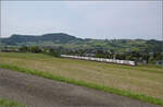 RABe 512 037 und RABe 512 025 bei Frick. August 2025.