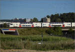 RABe 512 031 und RABe 512 004 (im Bild) bei Salina Raurica.