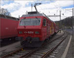 Zu den Ostereiern im Sihlwald.

Die neu lackierte Re 456 102 bzw. SZU 547 im Bahnhof Langnau-Gattikon. März 2024.