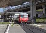 Zu den Ostereiern im Sihlwald.

Im Verkehrsgewirr von Zürich Manegg, diesmal mit einem Sonnenstrahl, verliert sich der Zug von Re 456 106 bzw. SZU 545. März 2024.
