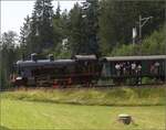 Fahrtag im Zrcher Oberland.

Eb 3/5 der BT bei Emmetschloo. Juli 2023.