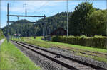 150 Jahre Tsstalbahn.

Die Streckengeherin kontrolliert noch schnell die Gleise auf etwaige Schden. September 2025.
