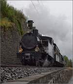 Ballenberg Dampfbahn nach Innertkirchen.