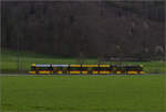 Ein Tramlink der WB nahe des Haltepunkts Ramlinsburg. April 2024.