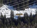 Auf der Alp Grüm.