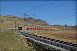 Allegra ABe 8/12 3504 'Dario Cologna' mit einem Regionalzug aus Tirano nach St. Moritz n�hert sich der Station Lagalb. September 2026.