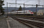 RABDe 500 035 'Niklaus Riggenbach' in Yverdon-les-Bains. Dezember 2025.