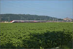 Für Abwechslung bei Hendschiken sorgt ein umgeleiteter Fernverkehrszug mit RABe 501 020 'Luzern' und RABe 501 025 'Geneve'.