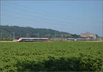 Für Abwechslung bei Hendschiken sorgt ein umgeleiteter Fernverkehrszug mit RABe 501 020 'Luzern' und RABe 501 025 'Geneve'.