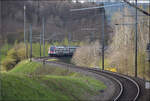 RABe 511 009 bei Lottstetten.
