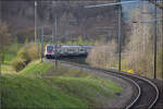 RABe 511 009 bei Lottstetten.