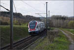 RABe 511 009 bei Lottstetten.