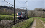 RABe 511 001 bei Lottstetten. April 2026.