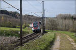 RABe 511 001 bei Lottstetten. April 2026.