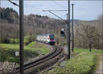 RABe 511 001 bei Lottstetten. April 2026.