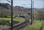 RABe 511 001 bei Lottstetten. April 2026.