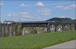 Vermutlich RABe 511 023 auf dem Eglisauer Viadukt über den Rhein.