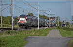 RABe 512 058 und RABe 511 123 bei Altreu.