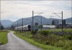 RABe 512 058 und RABe 511 123 bei Altreu.