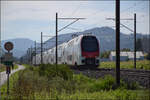 RABe 511 123 und RABe 512 058 bei Altreu. September 2026. 