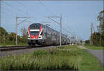 RABe 511 123 und RABe 512 058 bei Altreu. September 2026. 