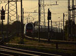 RABe 512 037 und RABe 512 007 in Pratteln.