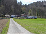 RABe 520 006 'Hitzkirch' schleicht sich im R�cken des Fotografen durch. April 2026.