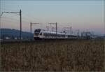 Am fast dauerverschlossenen Bahnübergang.

RABe 521 028 'Liestal' und RABe 523 069 in Hendschiken. Februar 2023.