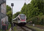 Ein Wiesentäler in Konstanz, RABe 521 006. August 2024.