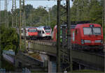 Die beiden Seehasen RABe 521 203 und RABe 521 206 kommen synchron mit dem IC 4, geschoben von Re 460 073 'Monte Ceneri', nach Singen eingefahren.