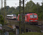 Die beiden Seehasen RABe 521 208 und RABe 521 205 fahren nach Singen ein.