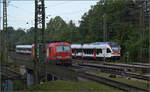 Die beiden Seehasen RABe 521 206 und RABe 521 203 verlassen Singen. August 2024.