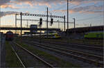 Noch schnell der Abend in Pratteln.

Der gelbe RABe 521 017, RABe 523 071 und RABe 523 023 auf der Bözbergstrecke Richtung Basel. Oktober 2024.