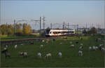 Aargauische Südbahn.