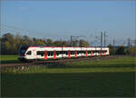 Aargauische Südbahn.

RABe 521 030 'Republic et Canton Jura' bei Boswil. November 2024.