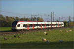 Aargauische Südbahn.