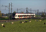 Aargauische Südbahn.