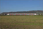 Aargauische Südbahn.

RABe 521 030 'Republic et Canton Jura' bei Hendschiken. November 2024.