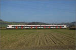 Aargauische Südbahn.

RABe 521 019 bei Hendschiken. November 2024.