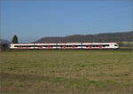 Aargauische Südbahn.

RABe 521 019 bei Hendschiken. November 2024.