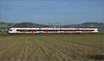 Aargauische Südbahn.

RABe 521 030 'Republic et Canton Jura' bei Hendschiken. November 2024.