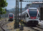 RABe 521 203 und RABe 521 209 in Konstanz whrend noch nicht im Regeldienst der Nachfolger RABe 531 002 drut. Einerseits freut man sich schon auf die neuen Zge, allerdings bleiben uns hoffentlich die RABe 521 mit Baujahr 2005/6 recht lange erhalten. Die neuen Zge sind zwar schn, aber wirken im Inneren nicht so freundlich mit den kleinen Fenstern und den abgeschlossenen Sitzen. Der Seehas glnzt mit seiner Offenheit und den Panoramafenstern und bleibt hoffentlich noch lange fit. Juli 2025.