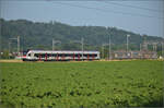 RABe 521 013 'Delémont' bei Hendschiken, Juni 2025.