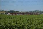 RABe 521 013 'Delémont' bei Hendschiken, Juni 2025.