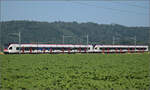 RABe 521 023 'Ajoie' und RABe 523 036 bei Hendschiken, Juni 2025.