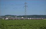 RABe 521 023 'Ajoie' und RABe 523 036 bei Hendschiken, Juni 2025.