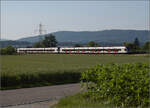 RABe 521 023 'Ajoie' und RABe 523 036 bei Hendschiken, Juni 2025.