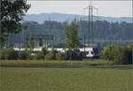 RABe 521 023 'Ajoie' und RABe 523 036 bei Hendschiken, Juni 2025.