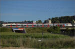 RABe 523 008, RABe 521 024 und RABe 521 027 'Gilberte de Courgenay' (im Bild) bei Salina Raurica. August 2025.