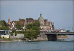 Zwei Seehasen auf dem Weg nach Engen. Konstanz, August 2026.